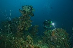 Hoki_Maru-087
