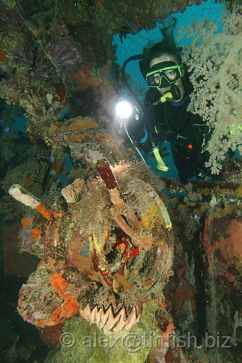 Shinkoku_Maru-206.JPG