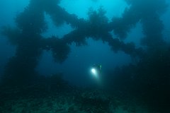 Shinkoku_Maru-301