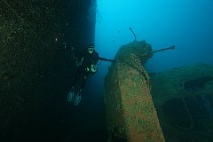 SMS_Cormoran-008