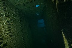 SMS_Cormoran-010