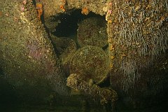 Tokai_Maru-045
