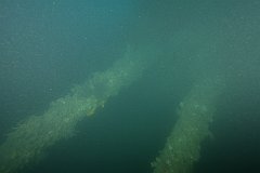 HMS_Exeter-069