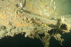 HMS_Exeter-092