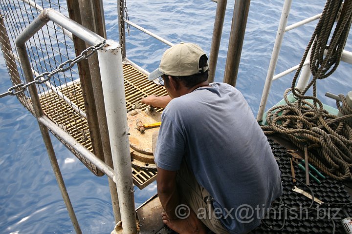 MV_Empress-001.JPG - Busy cleaning spidge