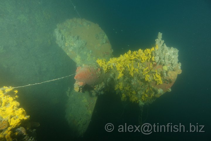 Nankai-041.JPG - Single screw propeller