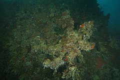 Nagisan_Maru-003
