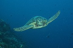 Blue_Hole-053