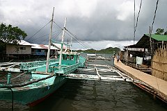 IMG_2019
