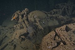 Azumasan_Maru-14