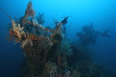 Azumasan_Maru-53
