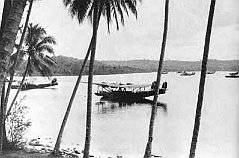 mavis-tanambogo