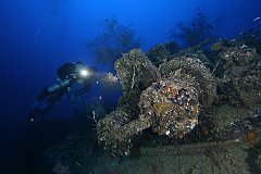 Tama_Maru-38