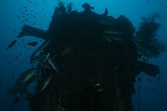 USS_Aaron_Ward-290