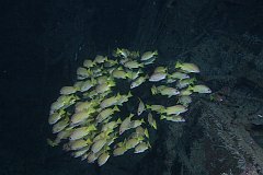 USS_Aaron_Ward-314