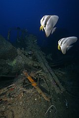USS_Aaron_Ward-534