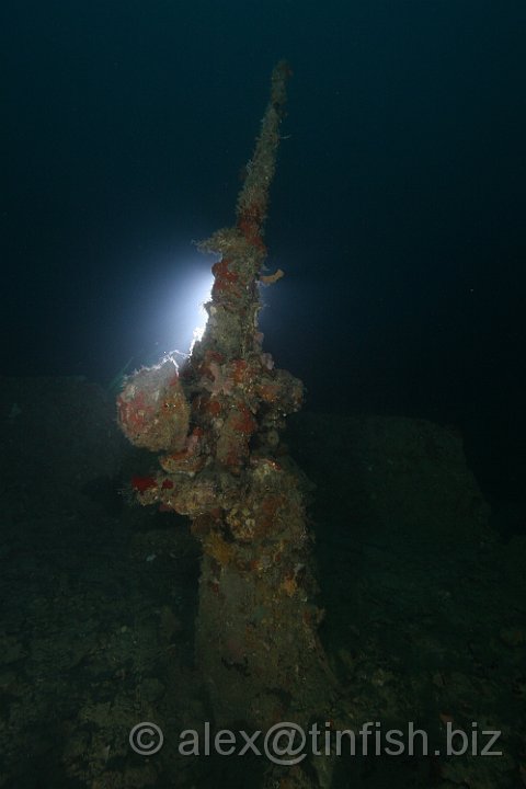 USS_Kanawha-190.JPG - Anti-aircraft gun points skywards